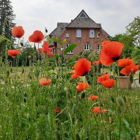 Ferienwohnung Ehemalige Revierfoersterei "Morgensuenn" Kuhstorf エクステリア 写真