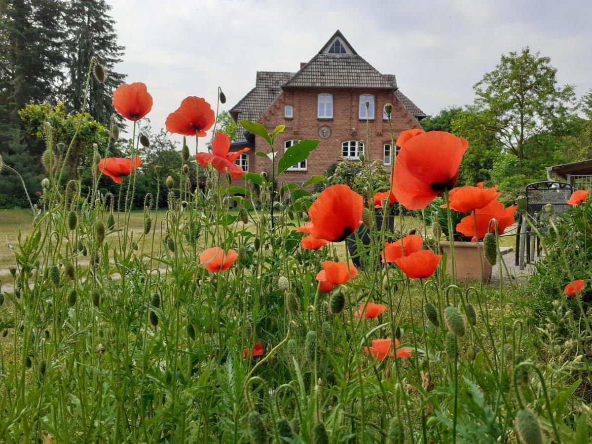 Ferienwohnung Ehemalige Revierfoersterei "Morgensuenn" Kuhstorf エクステリア 写真